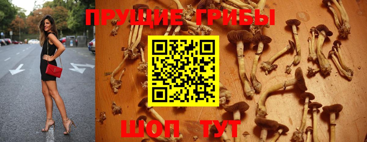 Псилоцибиновые грибы GOLDEN TEACHER  Вход с VPN  Конаково 