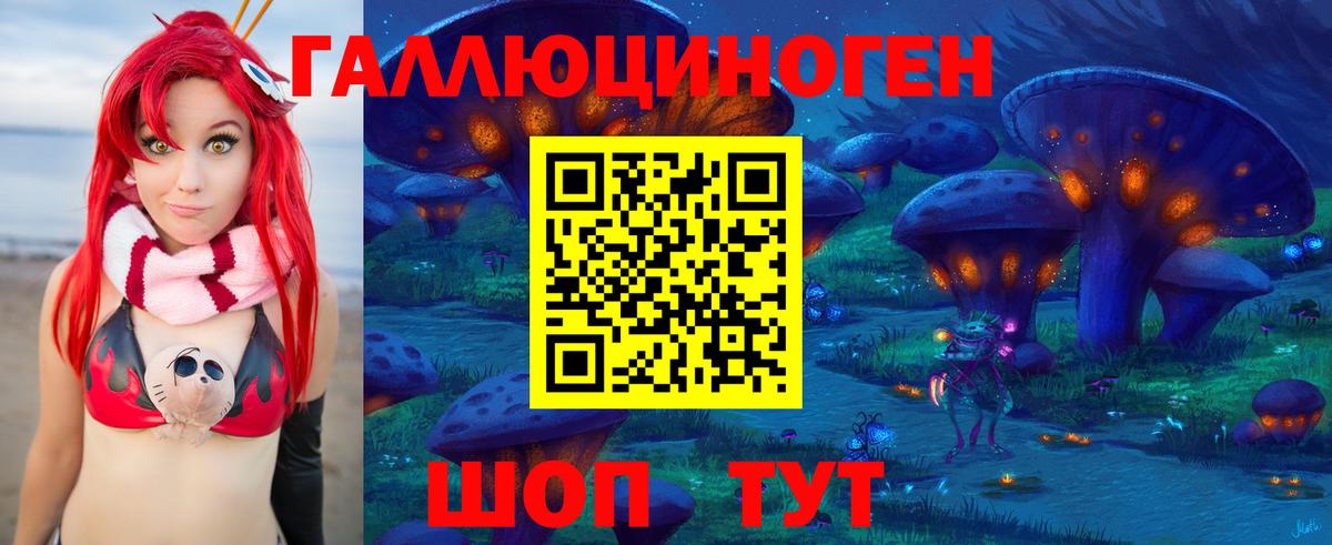 Псилоцибиновые грибы Psilocybine cubensis Конаково